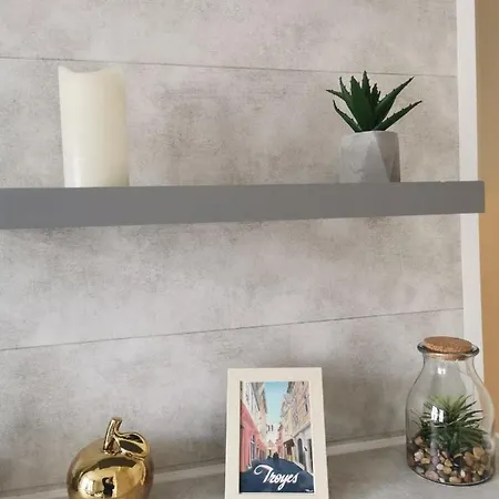 Le De La Cathedrale - Calme - Jardin - Wifi 아파트 트루아