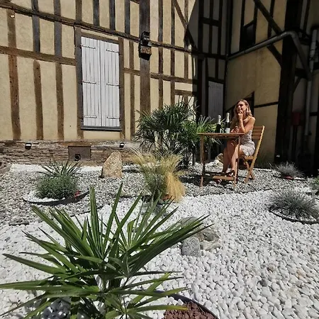 Le De La Cathedrale - Calme - Jardin - Wifi 트루아