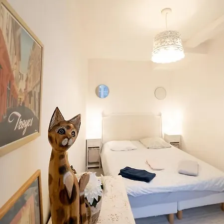 Le De La Cathedrale - Calme - Jardin - Wifi 트루아